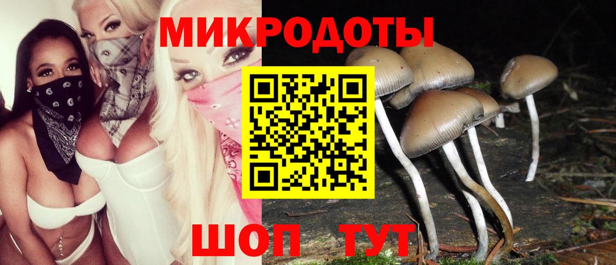 Галлюциногенные грибы Cubensis  Вход с VPN  Белебей 